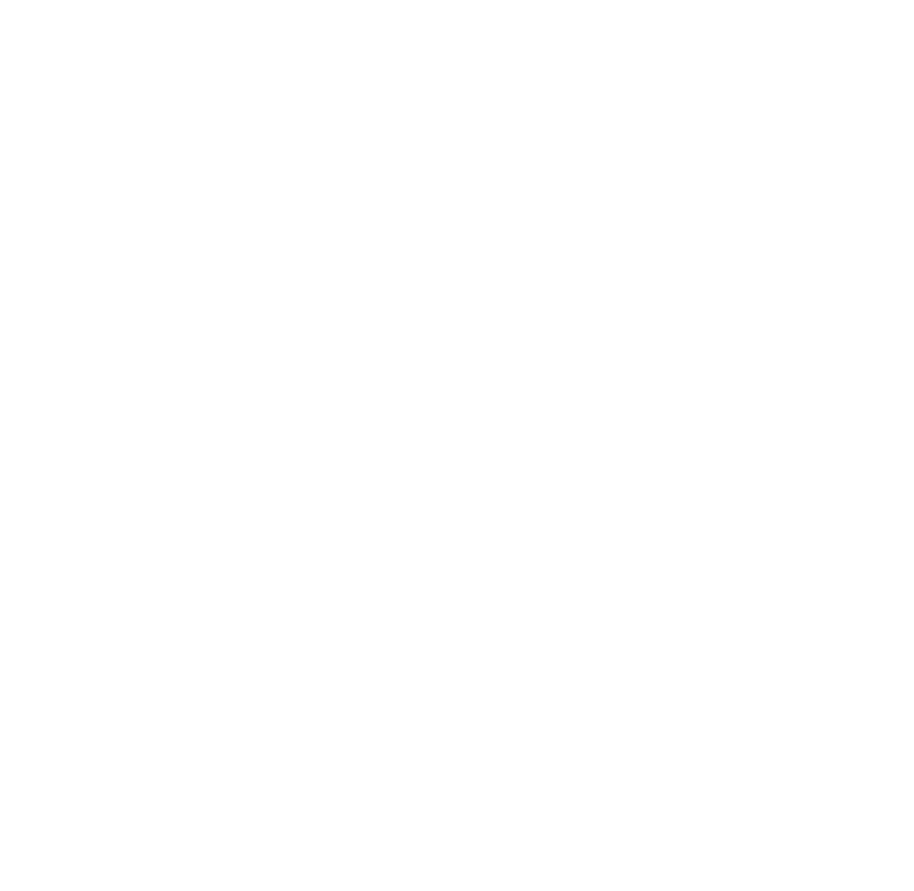 Ritter Concept in Numbers Worldwide